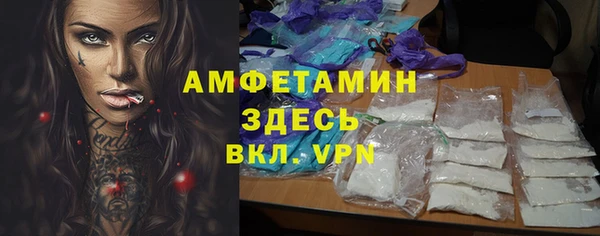 сатива Балахна