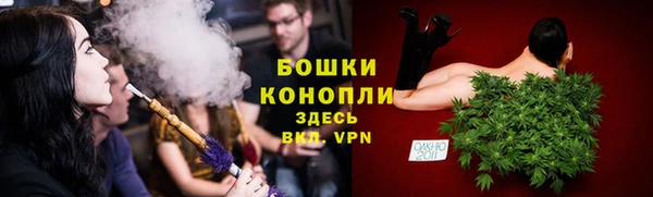 сатива Балахна