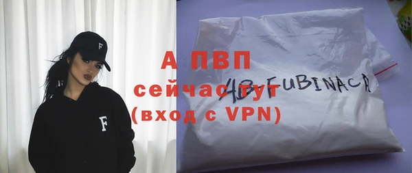 сатива Балахна