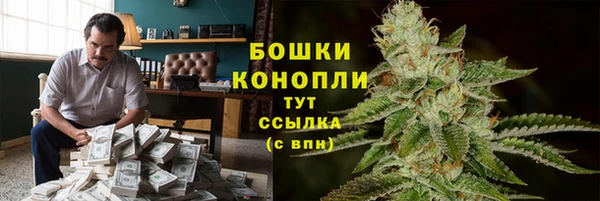 сатива Балахна